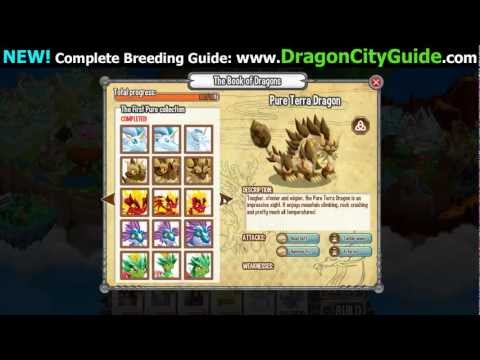 how to train dragons in dragon city