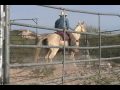 Missouri Fox Trotter Palomino Mare for sale trail video 11 10 09