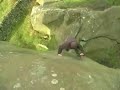 jumpstoke