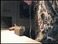 videos de Finger Slugs Leadge Mini