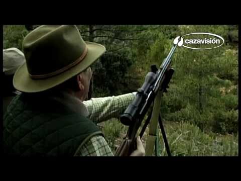 caza -