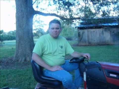 how to harvest pecans