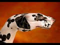 ejpik-Obr�zky malovan� na ruce