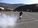 Pinguin Racing Team 9