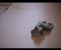 mmm6-fight25-Ant´s-Antweight