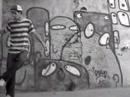 video calme-�t� 2006