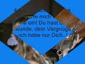 *10 Bitten eines Pferdes an den Menschen* *10 Bitten eines Pferdes an den Menschen*