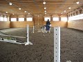 Dustbunny Fences Training