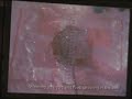 snippets from the friday night featuring artists phil harding, robert hope, rachel johnston, amy hield, simon warner, pinknruby and say. filmed by jane howie