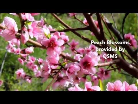 Dau tst 102 homework answers 06 image