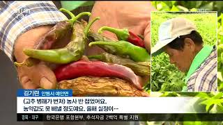 뉴스투데이