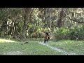 Myakka Trail Ride