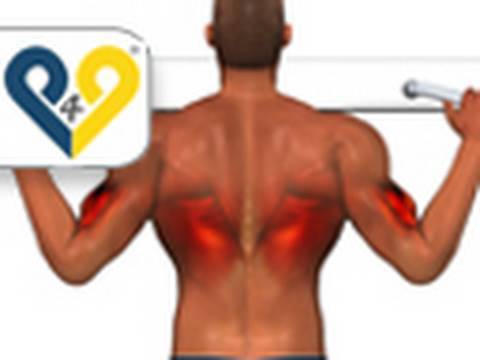 Exercices Dos - Traction à la barre