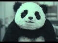 Panda Publicite Pour Le Fromage