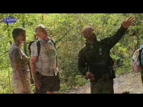 Levada Ribeiro Frio – Portela