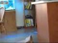 videos de Kitten Jump