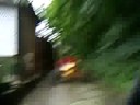 bbg im wald buggy bbg im wald buggy