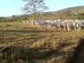 Foto v�deo