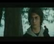 The Quidditchplayer (Harry/Hermione/Vicktor Triangel)