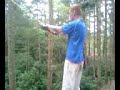 Crazy Ferndown Ginger Crazy Ferndown Ginger