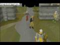 luring noobs