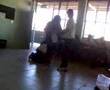 Luchas contra Edalit(brazileña)