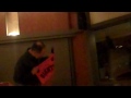 1 of 2 Ron Roth Comedy Congregation Etz Chayim New Years Eve.MP4