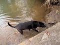 Newton and Photon at The River