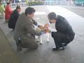 SICALAM 2007: Cachorros y Jóvenes Dentro del Ring SICALAM 2007: Cachorros y Jóvenes Dentro del Ring