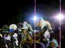 Roots Emancipation Junkanoo Rush-Out