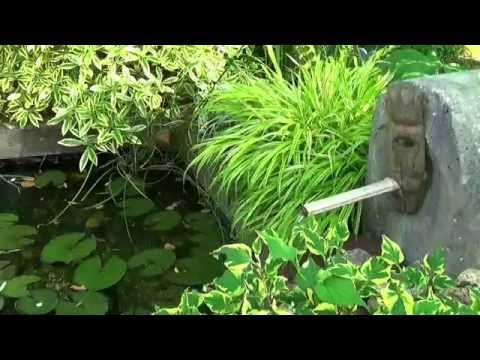 Image de prévisualisation YouTube