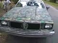 Swamp Car
