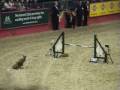videos de nancy and Niamh at Olympia 2008