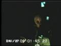 Alien Interrogation