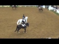 2017 IHSA National Horse Show