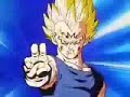 Majin Vegeta VS. Kakarott-Points Of Authority Majin Vegeta VS. Kakarott-Points Of Authority