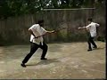 Taiwan YCF Taiji group