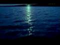 Ozark Henry - Free Haven