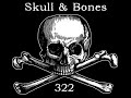 skull and bones - STUKA.wmv
