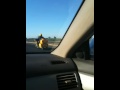 videos de Wingman