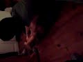 cosquillas