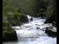 Rio Saja - Cañon