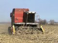Drago Corn Head with Rollacone in Down Corn