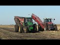 Autumn Pumpkin Harvest