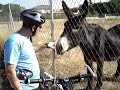 ciclistas en burrolandia ciclistas en burrolandia