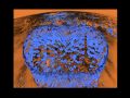 Auld Lang Syne ~ Guy Lombardo