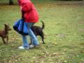 Christmas at the Park in the light Rain