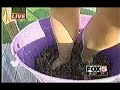 Atlanta Grapes Thwart Cheating Attempt