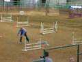 videos de Brad's 4th NADAC Novice Jumper's Q