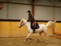 premier cso canelle premier cso canelle
